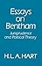 Essays on Bentham: Jurisprudence and Political Theory by H. L. A. Hart (1982-12-09)