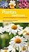 Plantas Medicinais (Guia claro e simples para a sua identificação)