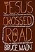 Why Jesus Crossed the Road: Learning to Follow the Unconventional Travel Itinerary of a First-centur [Paperback]
