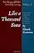 Like a Thousand Suns: The Bhagavad Gita for Daily Living, Volume II Paperback – January 29, 1993