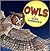 Owls