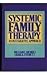 Systemic Family Therapy: An Integrative Approach