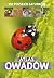 Atlas owadow