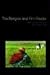 The Religion and Film Reade...