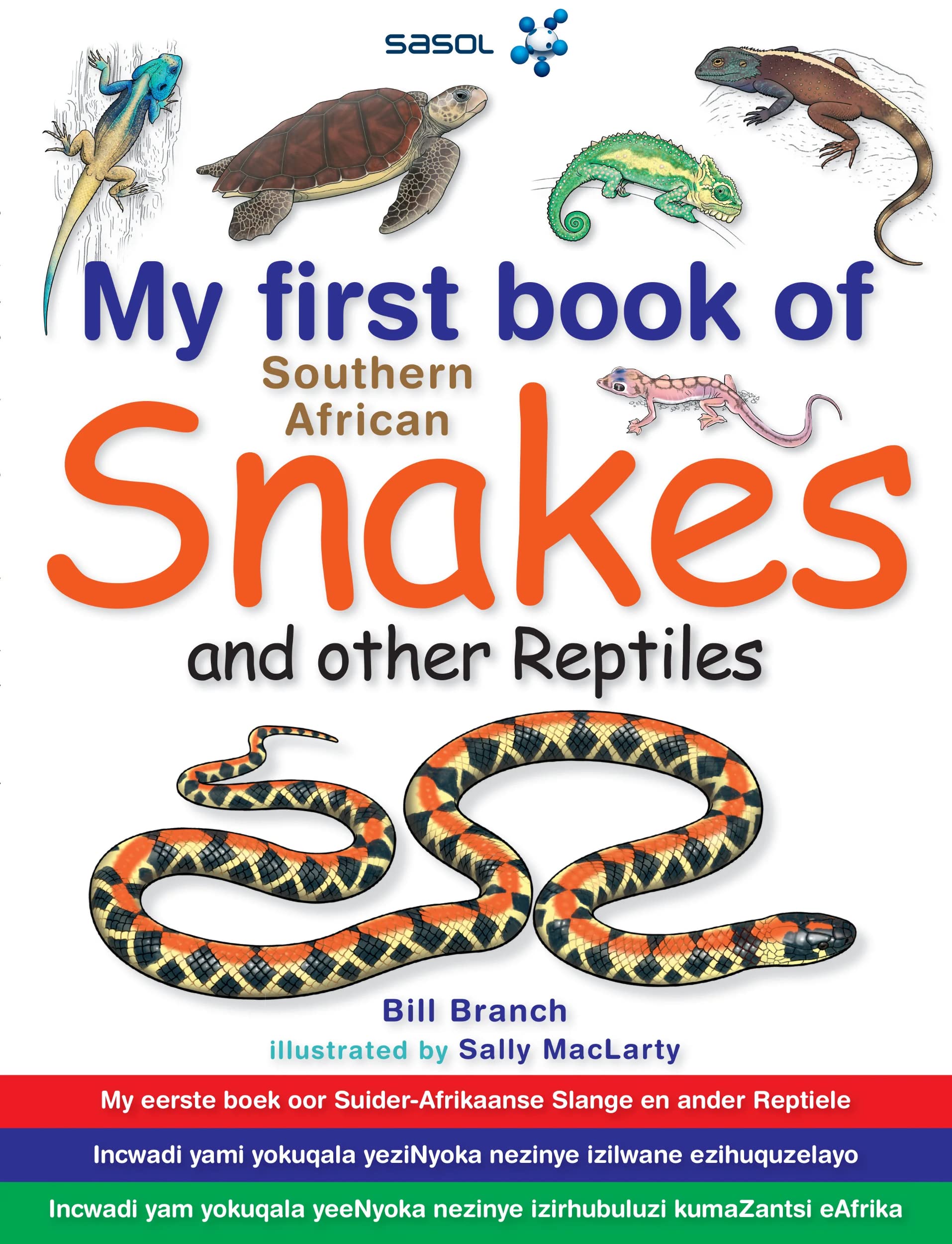 My First Book of Southern African Snakes and Other Reptiles (Paperback)