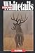 Hunting Trophy Whitetails by David Morris (1999-02-09)