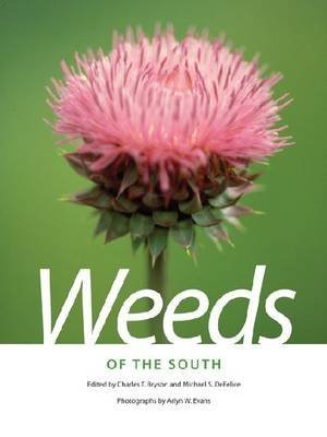 Weeds of the South (Paperback)