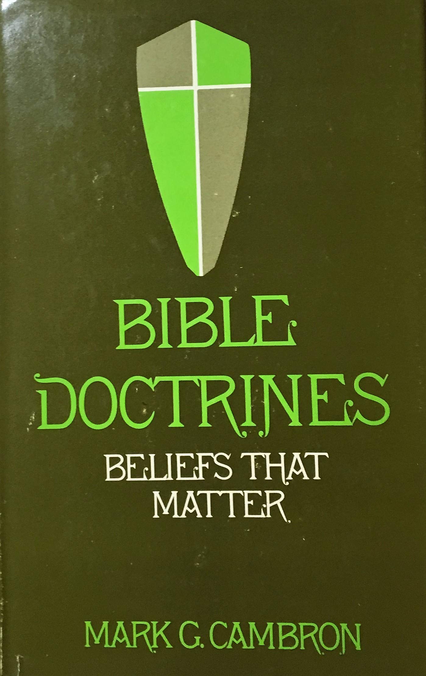Bible Doctrines: Beliefs that Matter (Hardcover)