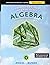 Elementary and Intermediate Algebra for College Students