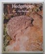 Hedgehogs (Hardcover)