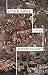 Come Away by Stephen Policoff (2014-11-11)