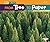 From Tree To Paper (Start to Finish) by Pam Marshall (2013-01-04)