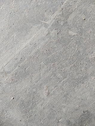 Ar Rahiqul Makhtoom - A Complete Bengali Translation