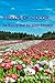 Fields of Color: The theory that escaped Einstein by Rodney A. Brooks (2010-12-15)