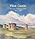 Flint Castle by Vicky Perfect