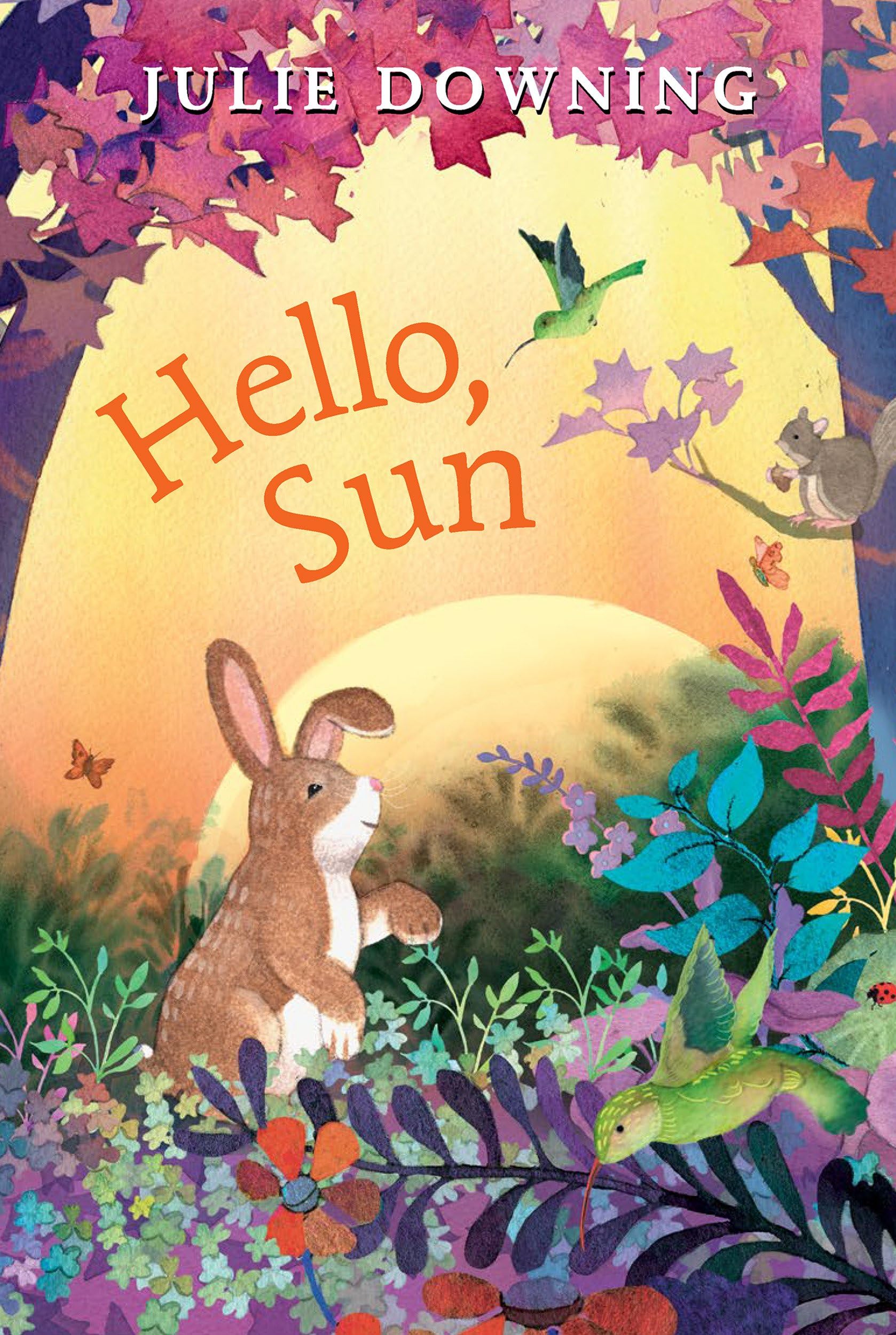 Hello, Sun (Hardcover)