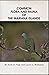 Common Flora and Fauna of the Mariana Islands