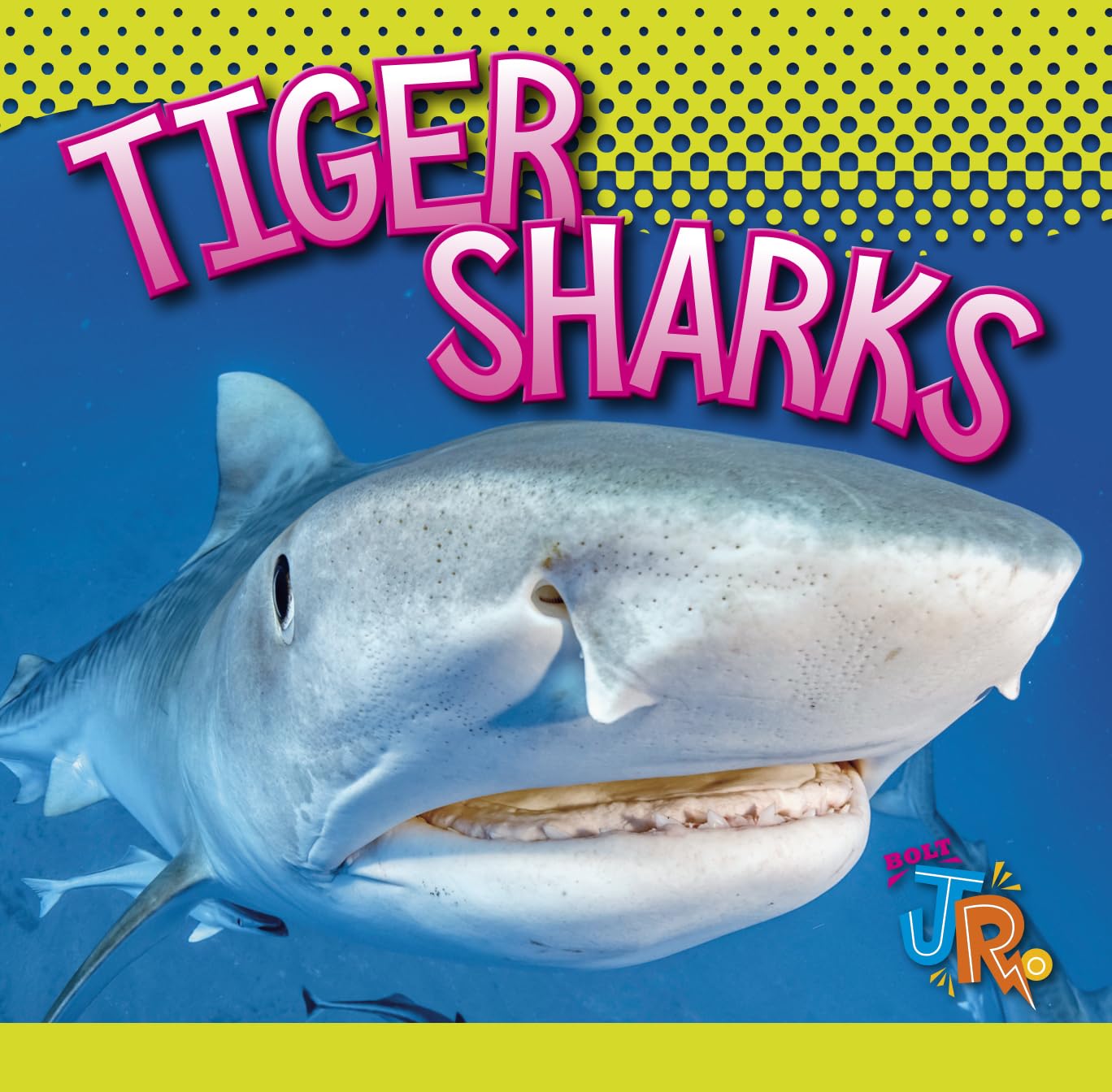 Tiger Sharks (World of Sharks)