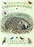 Let's Look For Garden Wildlife: A Natural History Activity Book by Andrea Pinnington (1-May-2013) Paperback