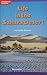 Life in the Sahara Desert