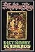 Skeleton Key: A Dictionary for Deadheads by David Shenk (1994-08-01)