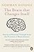 The Brain That Changes Itself: Stories of Personal Triumph from the Frontiers of Brain Science (Null)
