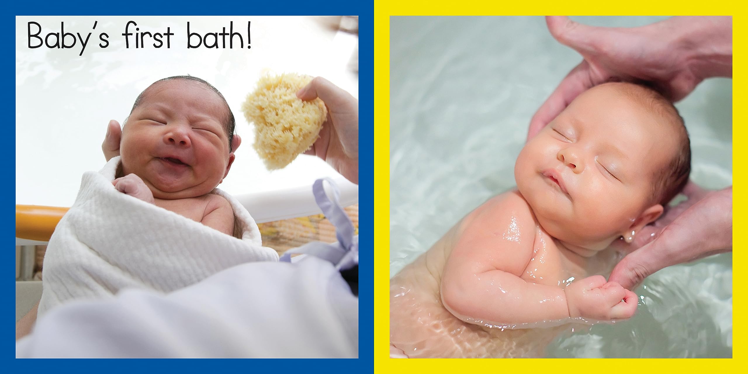 Baby's Firsts (Board Book)