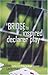 A Bridge to Inspired Declarer Play by Julian Laderman (2009-03-01)