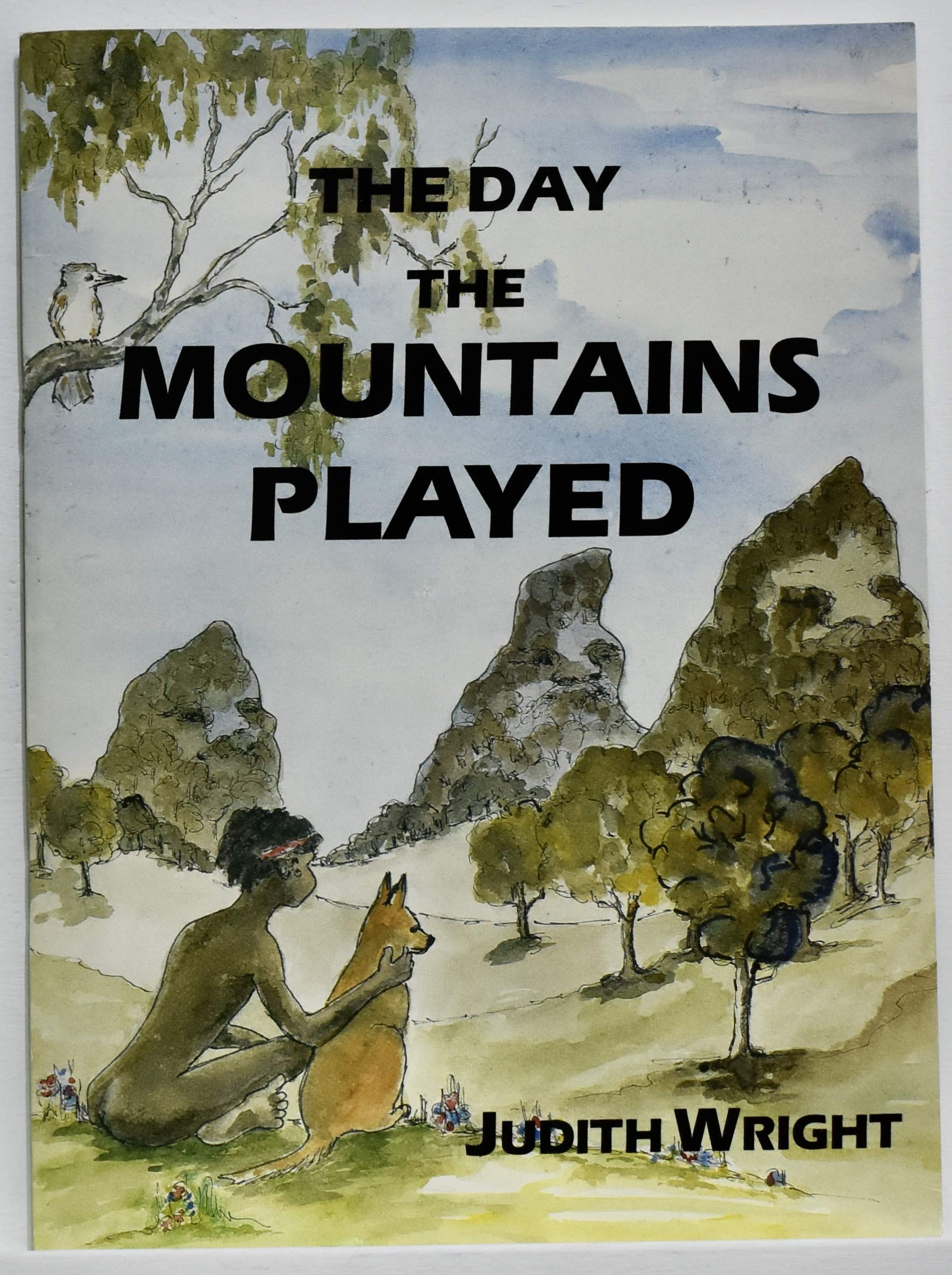 The Day the Mountains Played (Paperback)
