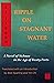 Ripple on Stagnant Water: A Novel of Sichuan in the Age of Treaty Ports