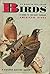 Birds, A Common Guide to the Most Familiar American Birds by Herbert Zim