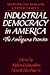 Industrial Democracy in Ame...