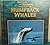Humpback Whales (Whales and Dolphins)