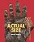 Actual Size[ACTUAL SIZE TURTLEBACK SCHOOL][Prebound]