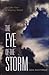 Eye of the Storm by Aharon Feldman