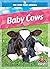 Baby Cows