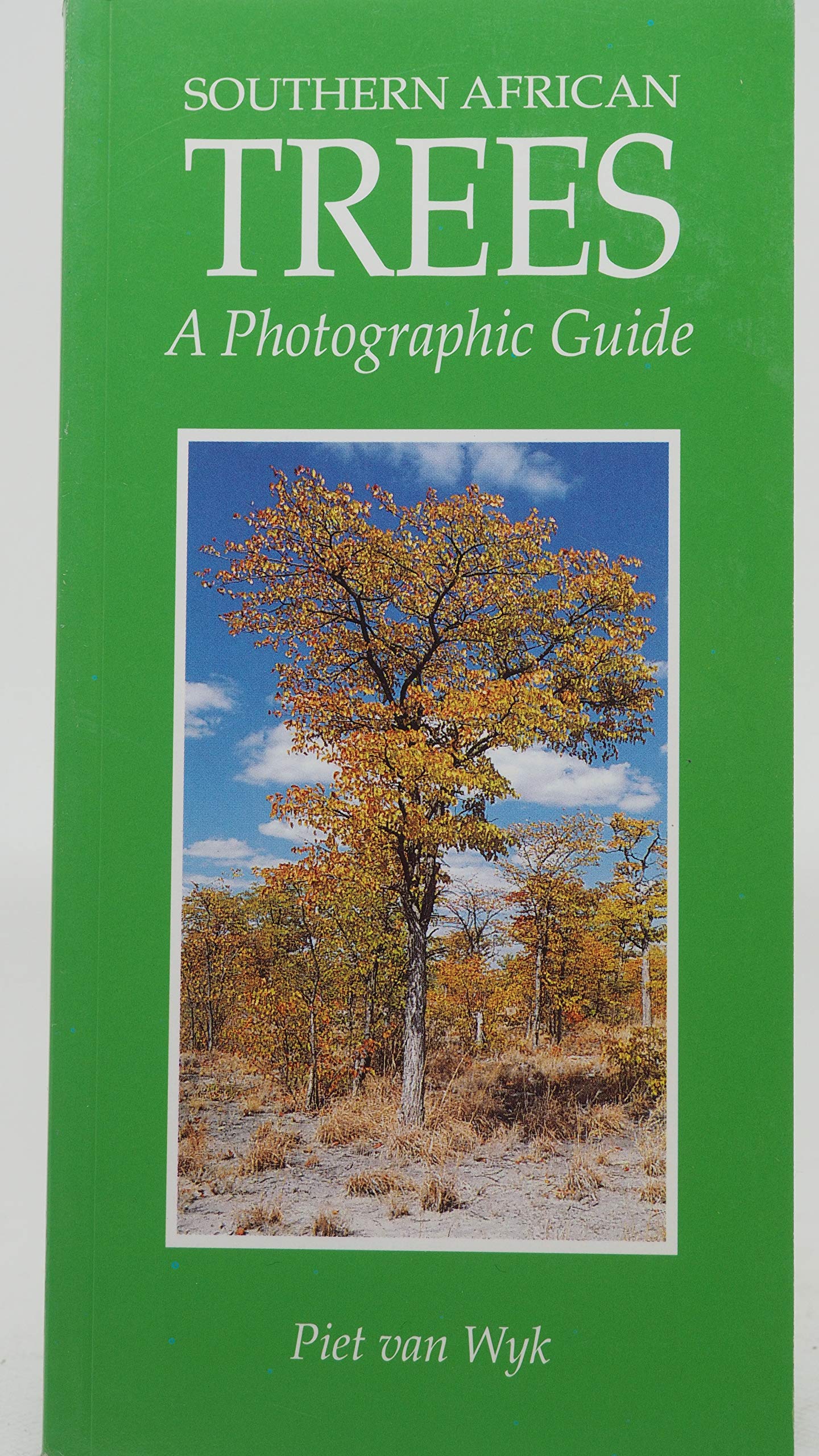 Southern African Trees: A Photographic Guide (Paperback)