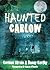 Haunted Carlow by Cormac Stain (2011-06-01)