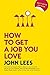 How to Get a Job You Love 2017-2018 Edition by John Lees (2016-09-01)