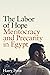 The Labor of Hope: Meritocracy and Precarity in Egypt