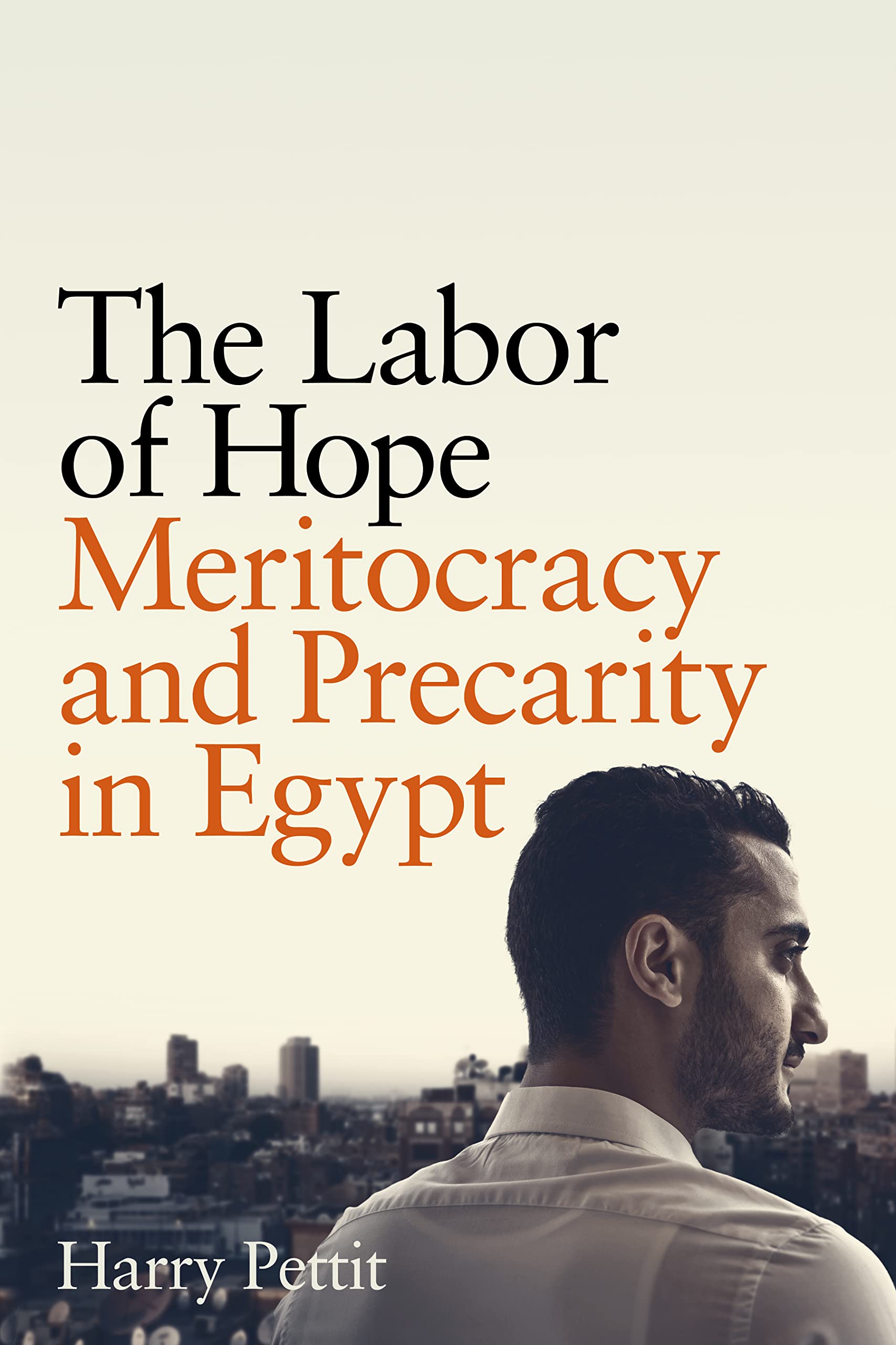 The Labor of Hope: Meritocracy and Precarity in Egypt (Hardcover)