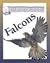Falcons (The Secret World of)