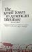 The Small Town in American Literature by David M. Cook