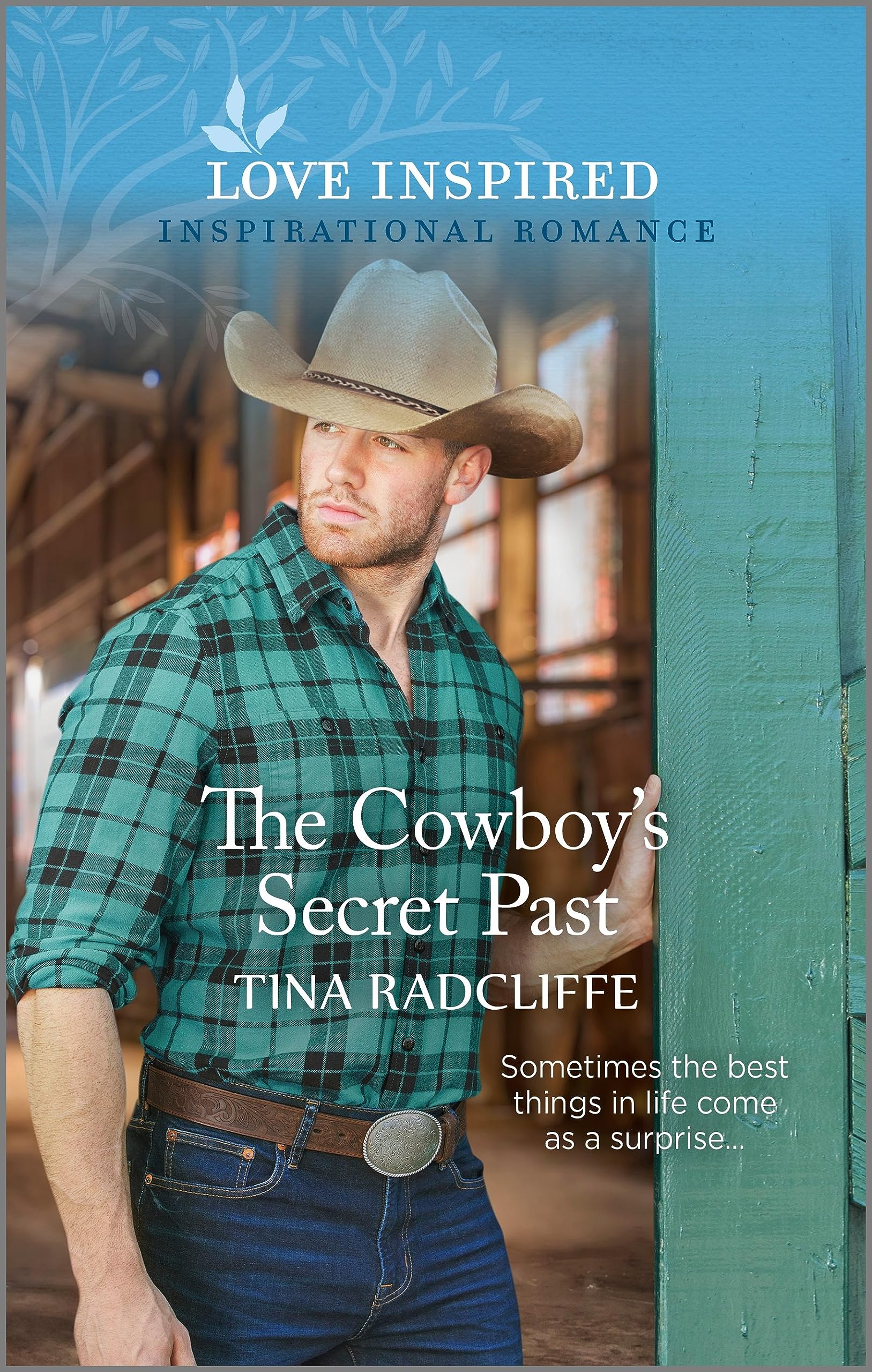 The Cowboy's Secret Past (Lazy M Ranch, #3)