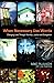 When Necessary Use Words: Changing Lives Through Worship, Justice and Evangelism by Mike Pilavachi (7-May-2007) Paperback