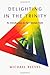 Delighting in the Trinity: An Introduction to the Christian Faith
