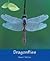 Dragonflies