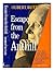Escape from the Anthill