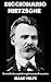 DICCIONARIO NIETZSCHE. Un e...