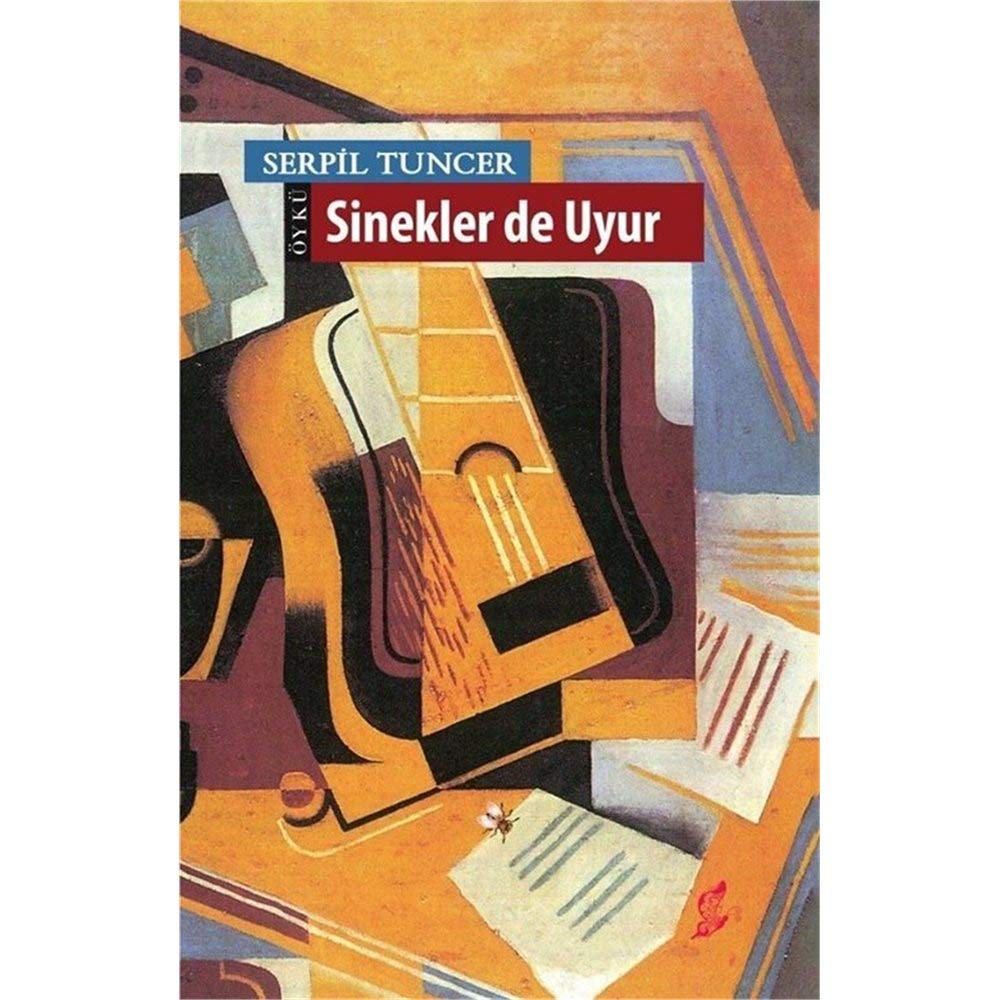 Sinekler de Uyur (Paperback)